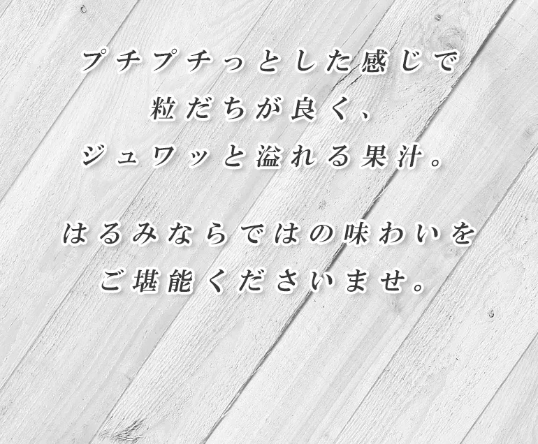 大崎上島産はるみ【ちょっぴり贅沢な柑橘の王様】
