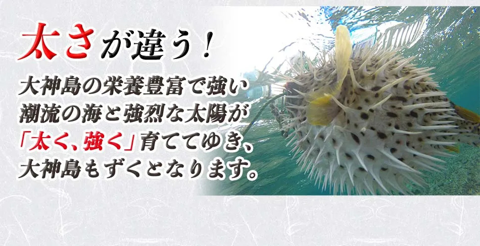 大神島もずく